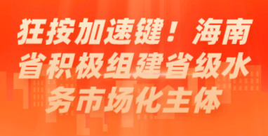 狂按加速鍵！海南省積極組建省級水務(wù)市場化主體